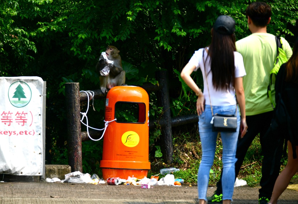 在郊野公園棄置廢物或吐痰亦提高罰款至3000元。資料圖片