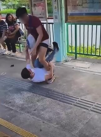 片段甫開始兩男在月台已打到瞓地。fb 車cam L（香港群組）Soso Chan影片截圖 