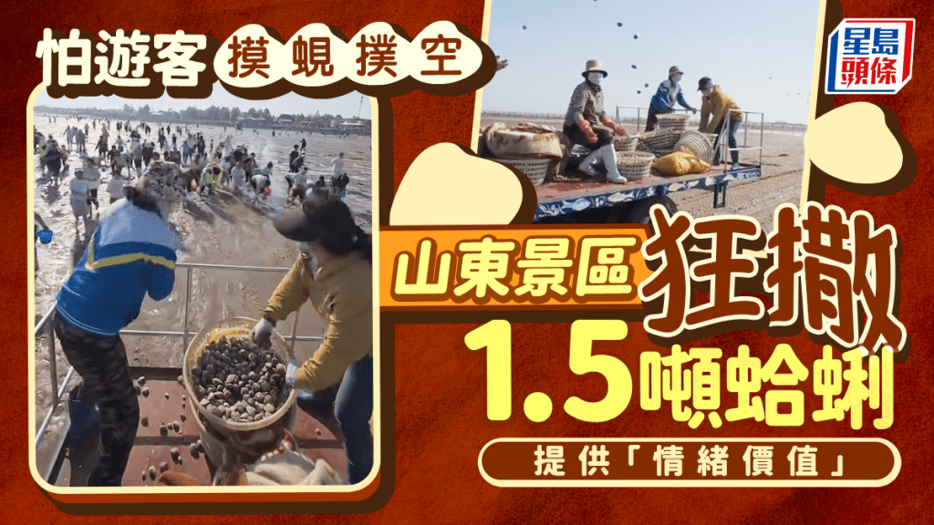 山東景區驚遊客摸蜆空手歸 狂撒1.5噸蛤蜊提供「情緒價值」 | 有片