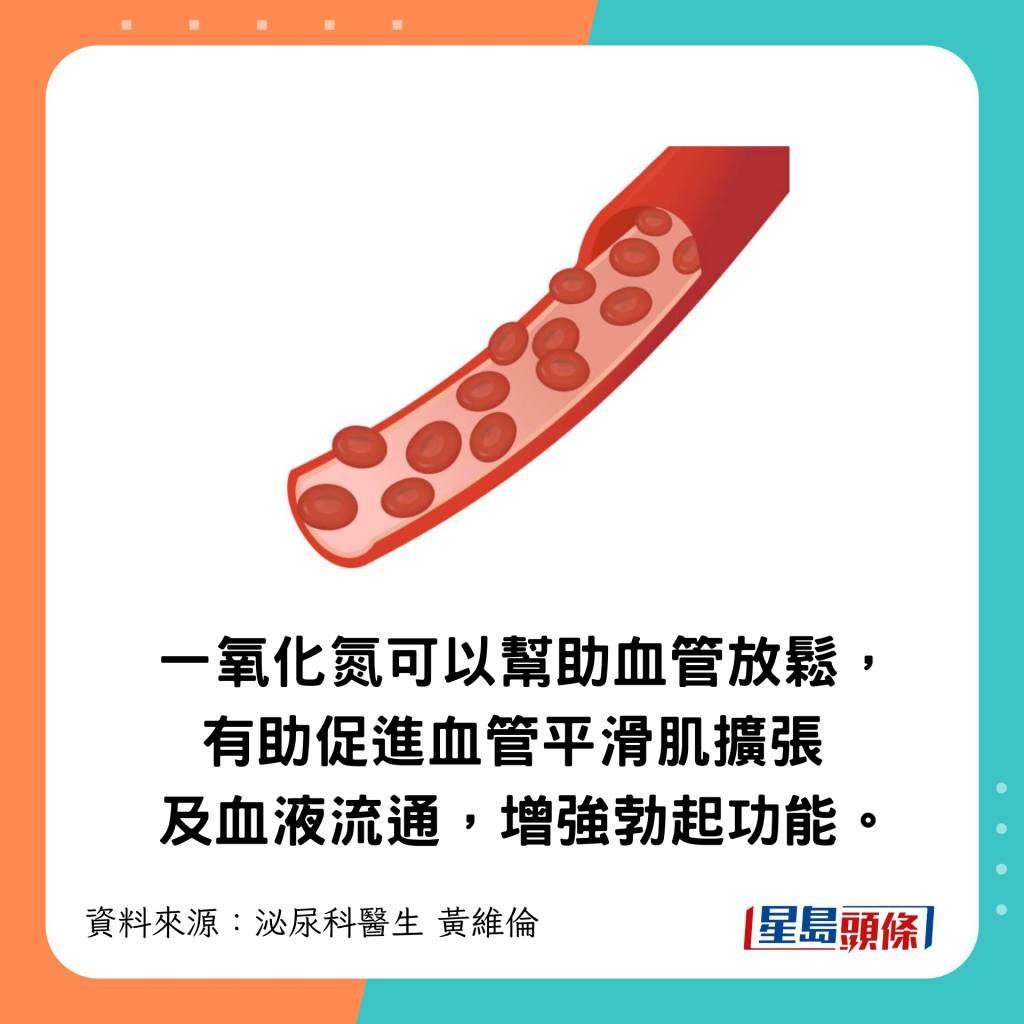 可促進血管平滑肌擴張及血液流通,增強勃起功能。