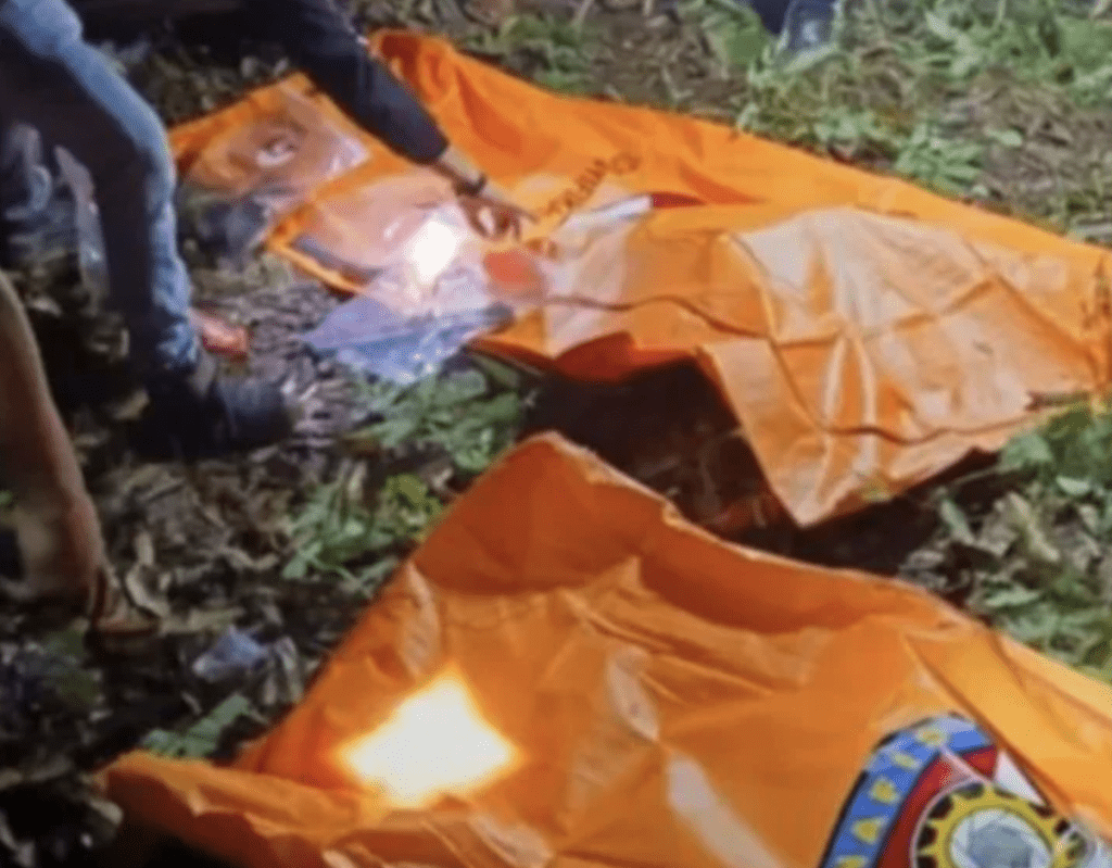 兩名年幼姊弟在外玩耍期間失蹤,最終被發現相擁死於果園山谷中。網上圖片 兩名年幼姊弟在外玩耍期間失蹤,最終被發現相擁死於果園山谷中。網上圖片