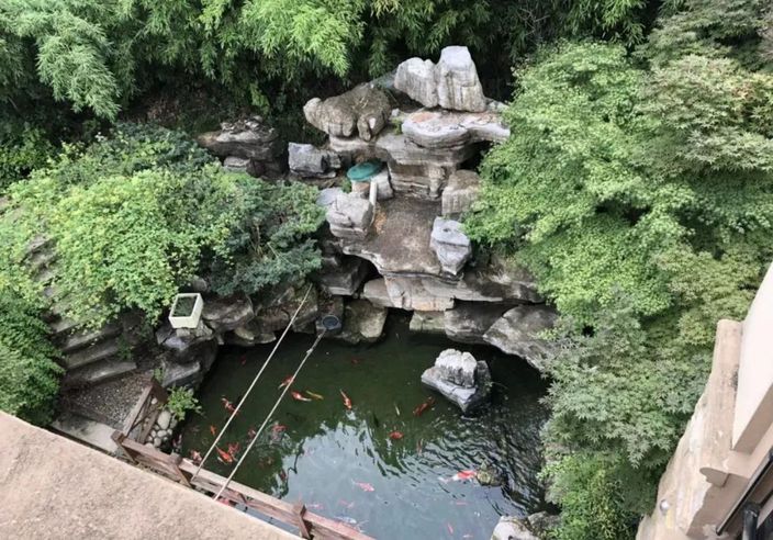 網圖