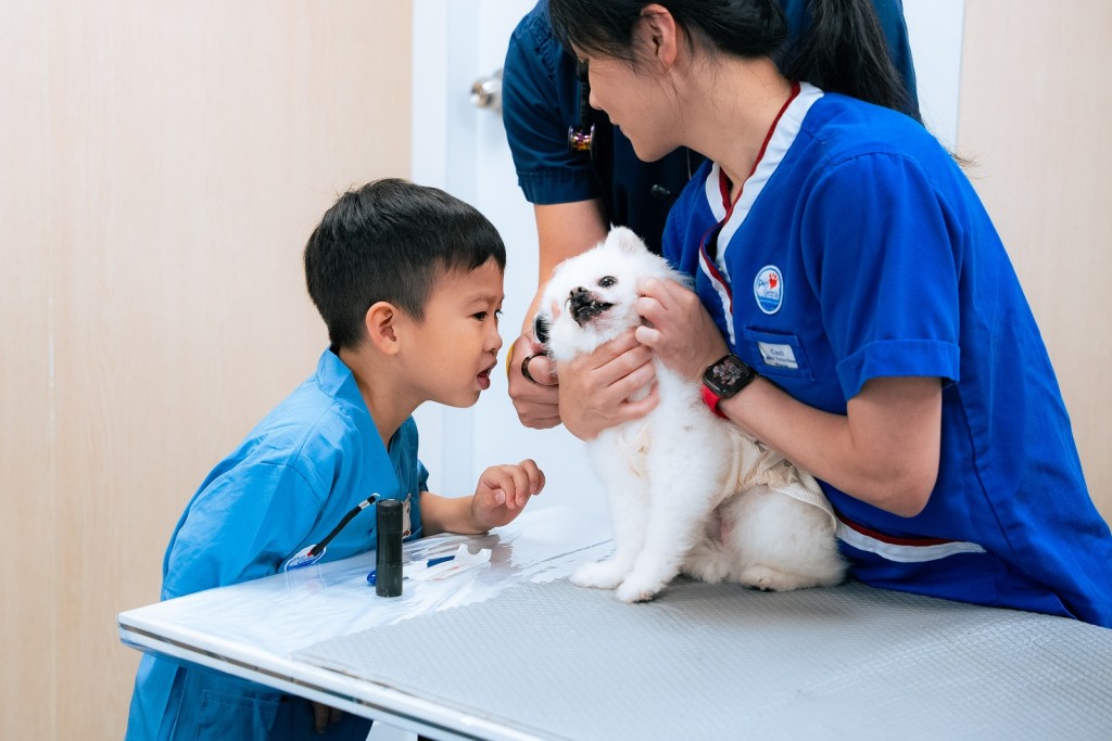 参观Pets Central动物医院，近距离认识动物医生日常工作如检查健康、诊症等。（图片来源：受访者提供）
