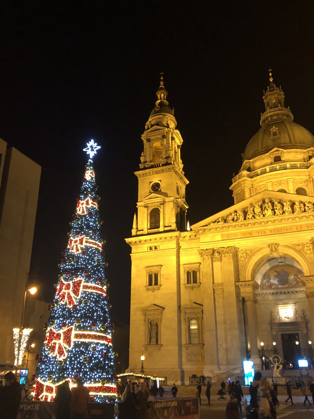 Anna曾跟接待家庭的妹妹在聖誕前夕到布達佩斯欣賞聖誕燈飾。