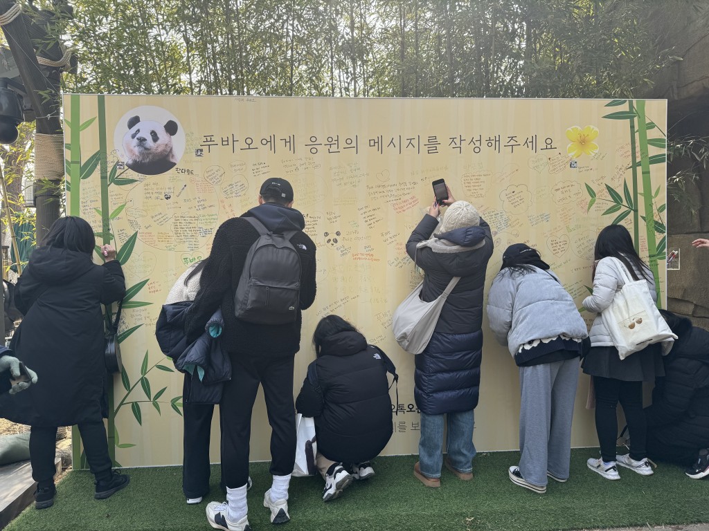 大批韓國民眾到動物園，與「福寶」道別。（中新社）