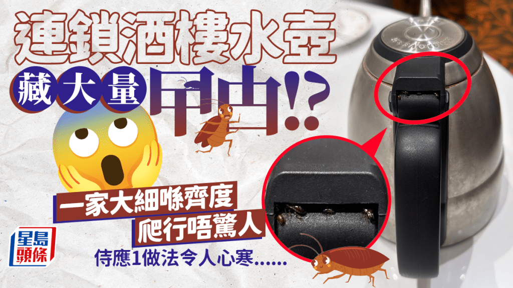 连锁茶楼水壶缝隙暗藏曱甴 港人叹「卫生情况堪忧」 网民称非首次：睇见都唔想食！