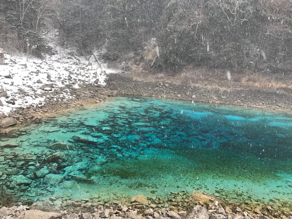 有遊客前往九寨溝。網上圖片