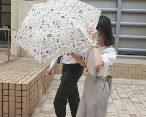 上訴人陳東成(黑褲)。資料圖片 