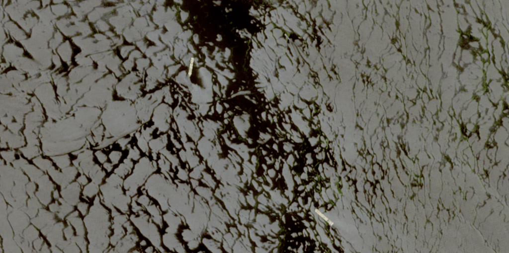 一张卫星影像显示两艘货柜船，巴拿马注册的 MSC Francesca 和赖比瑞亚注册的 Epaminondas。路透社