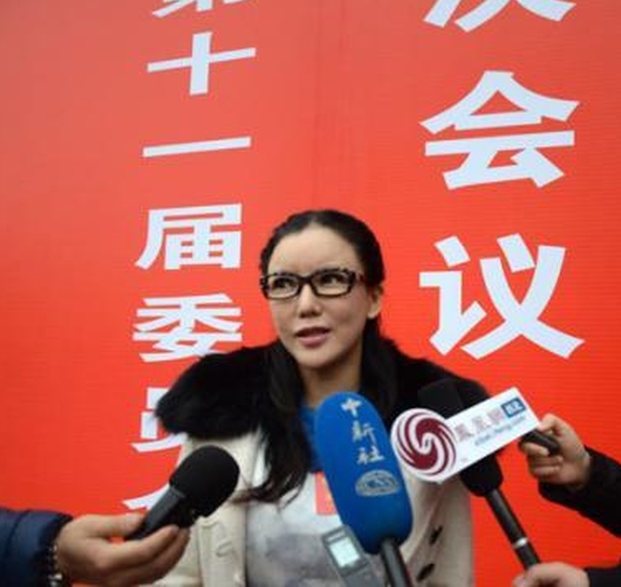 彭丹近年在内地积极从政，是甘肃省政协委员，曾在两会时提出文艺界反腐，事后更收到恐吓信。