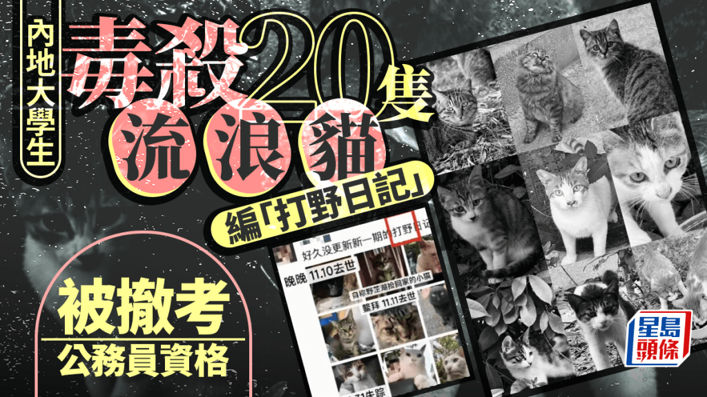 大學生毒殺20流浪貓  遭撤銷考公務員資格