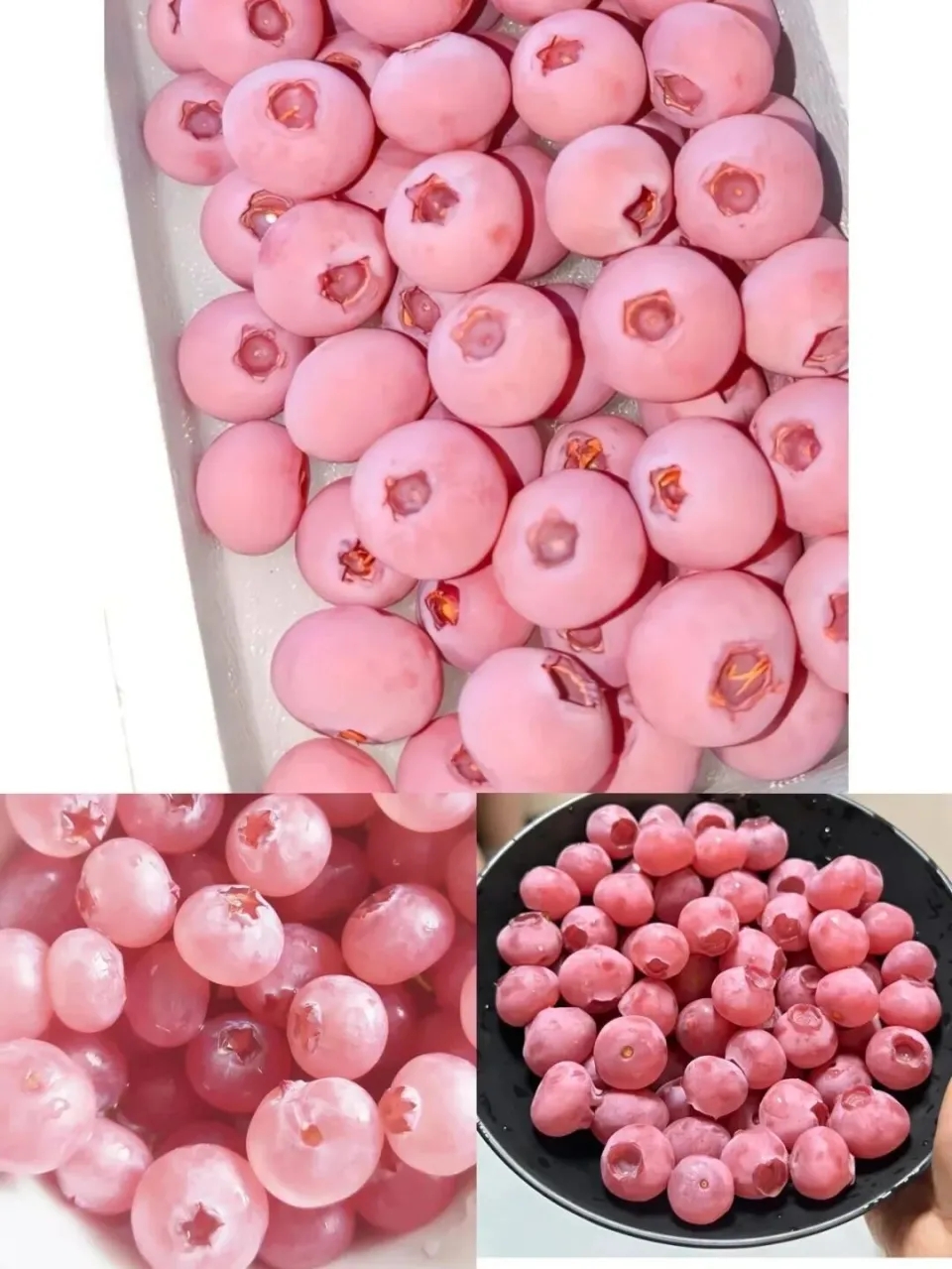 “粉色蓝莓”忽然爆红。