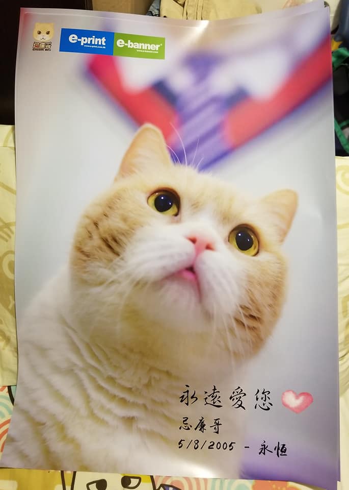紀念postcard