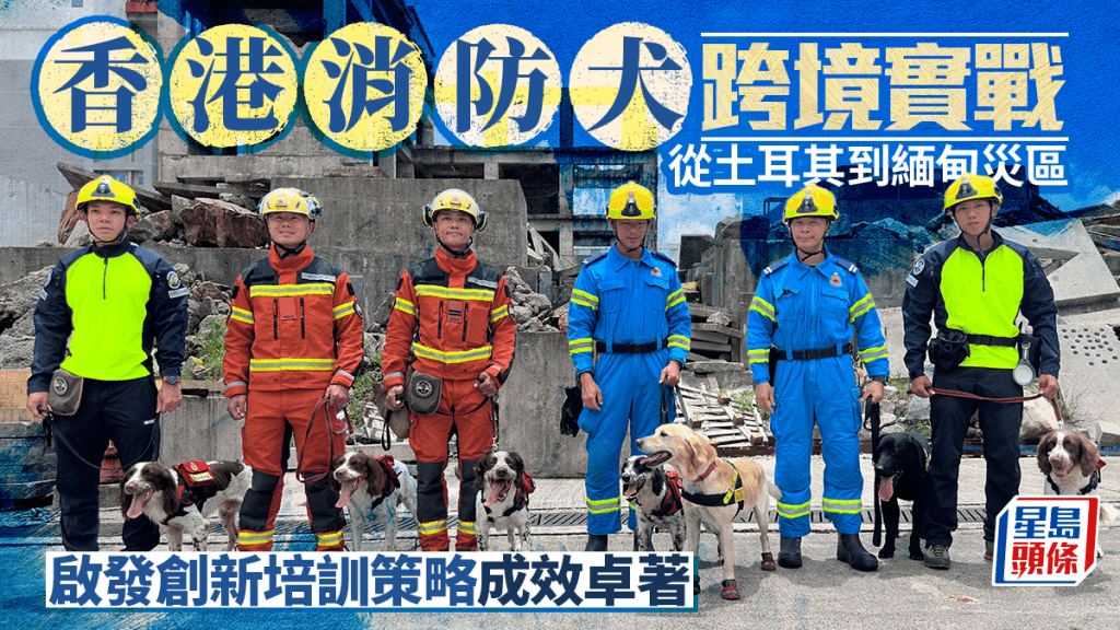 香港消防犬跨境實戰 從土耳其到緬甸災區 啟發創新培訓策略成效卓著