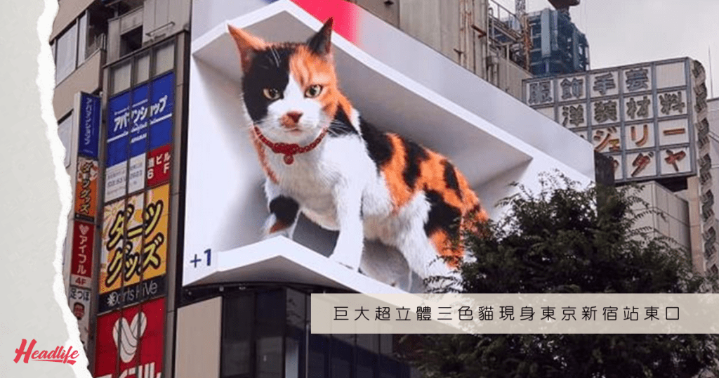 以4K畫質呈現出來的巨大三色貓3D超立體影像，予人栩栩如生的感覺。