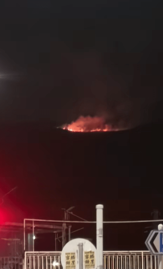 元朗掌牛山發生山火。網上圖片