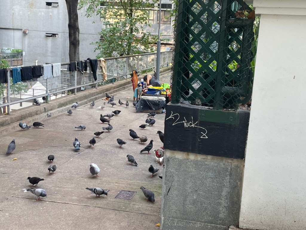 有露宿者在上環荷里活道公園一角棲身。(楊開永提供)