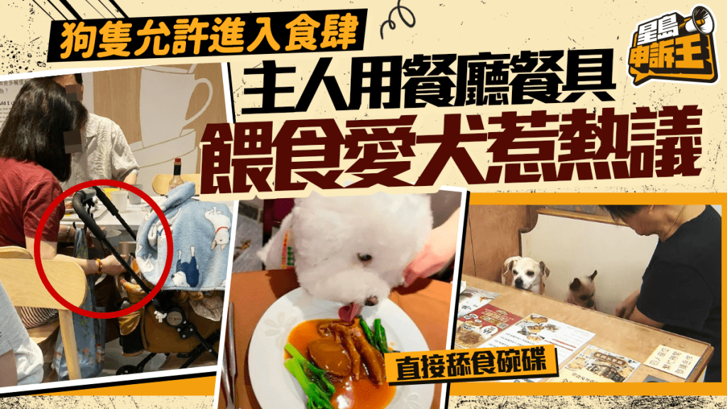 星島申訴王｜狗隻允許進入食肆  主人用餐廳餐具餵食愛犬惹熱議