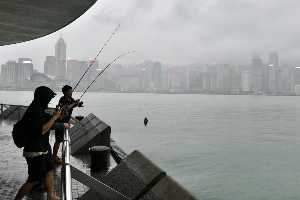 有市民到码头钓鱼。卢江球摄