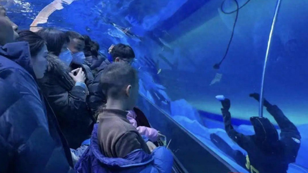 郑州海洋馆惊现溺亡潜水员，游客围观以为是假人。