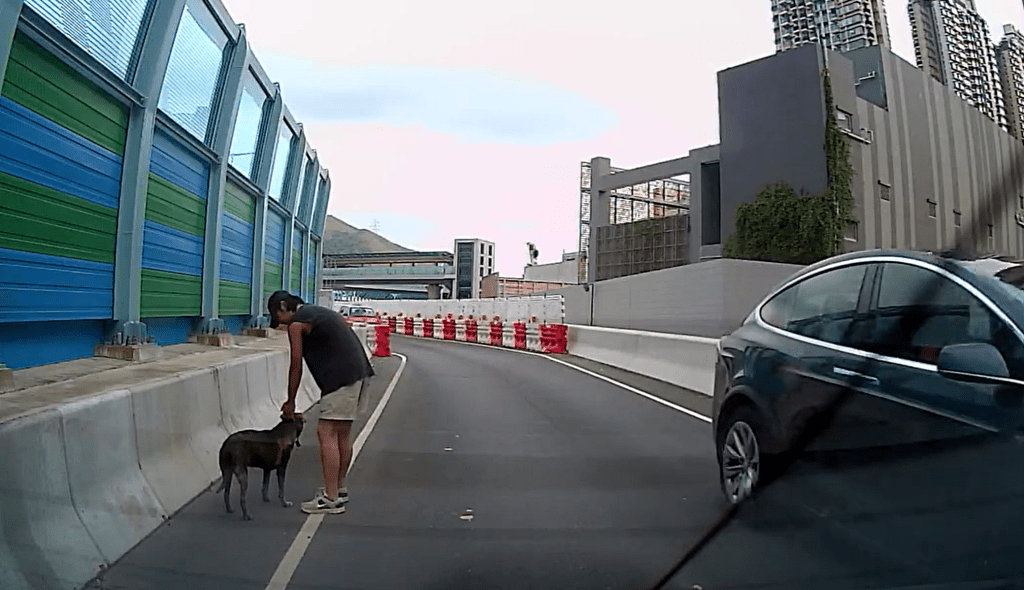 劉先生冒險落車救狗。網圖