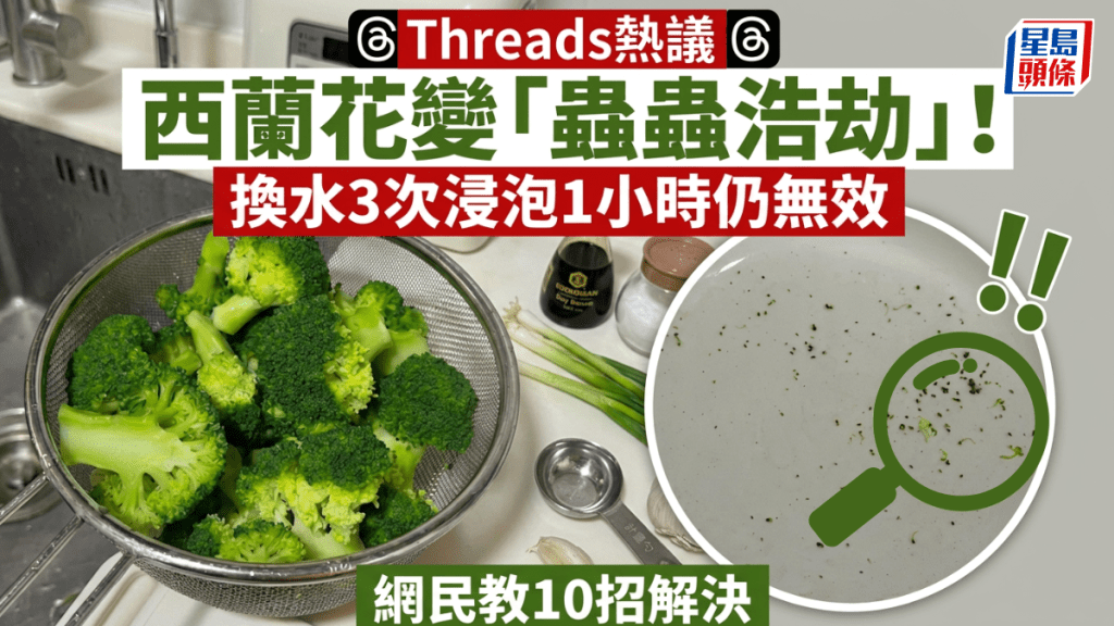 Threads熱議：西蘭花變「蟲蟲浩劫」！換水3次浸泡1小時仍無效 網民教10招解決