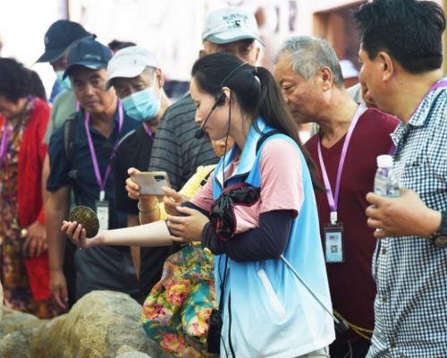 內地低風險地區省份可恢復跨省旅行團。資料圖片