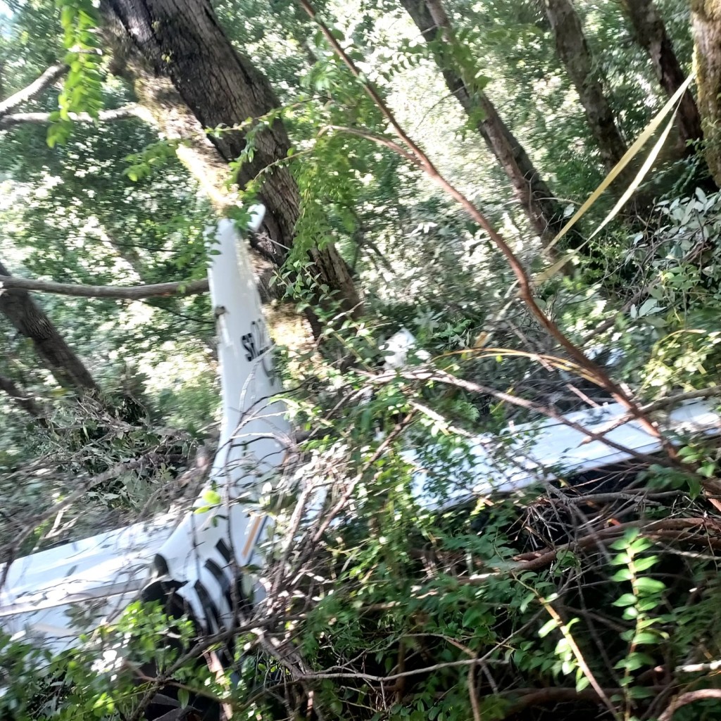 一家三口爬树脱困，消防当局照片显示飞机损毁。 Shelter Cove Fire