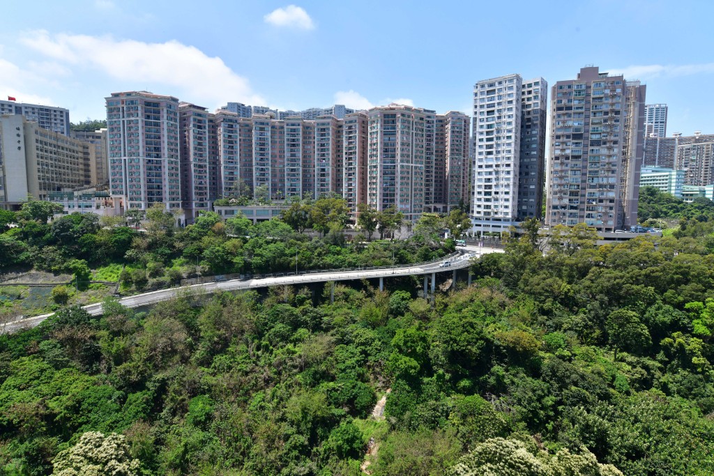 單位屬極高層,前望北半寶馬山一帶景致。