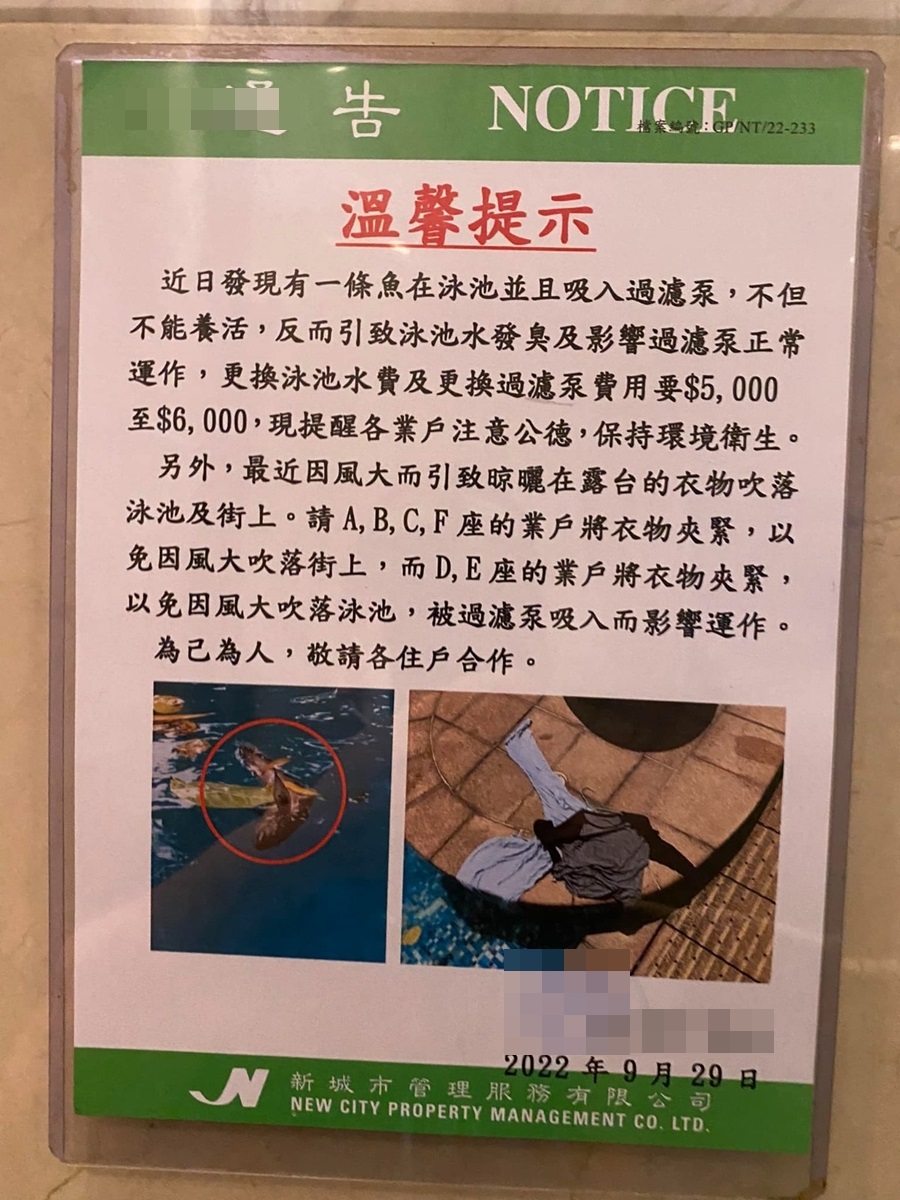 该则通告提醒住户不要在屋苑内的泳池放生活鱼。上水人大联盟FB图片
