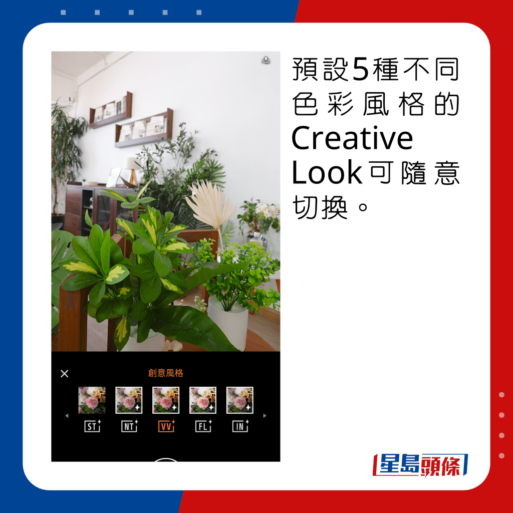 預設5種不同色彩風格的Creative Look可隨意切換。