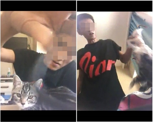 男子勒住貓頸往電腦鍵盤上猛砸。網圖