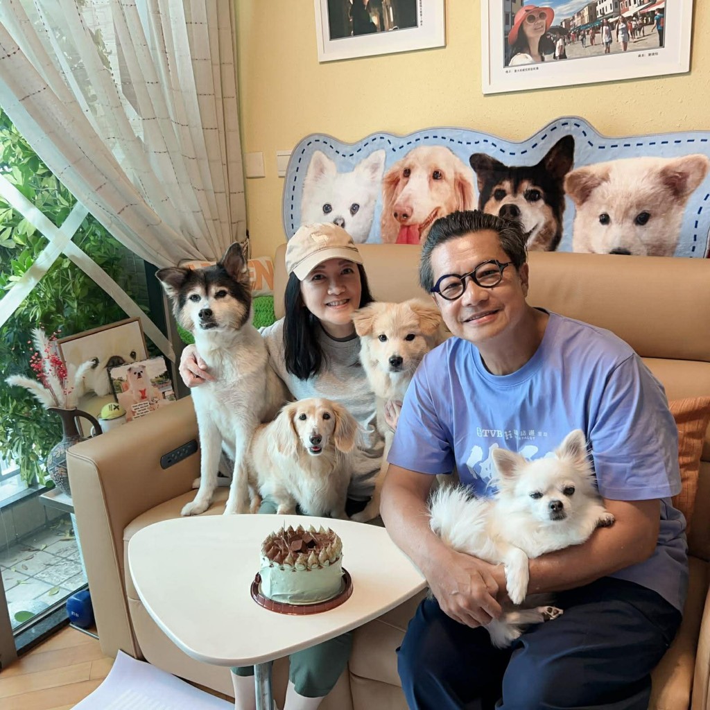 刘倩怡和郑子诚深庆家有4宝，为养牠们甘愿辛苦多接工作赚钱。