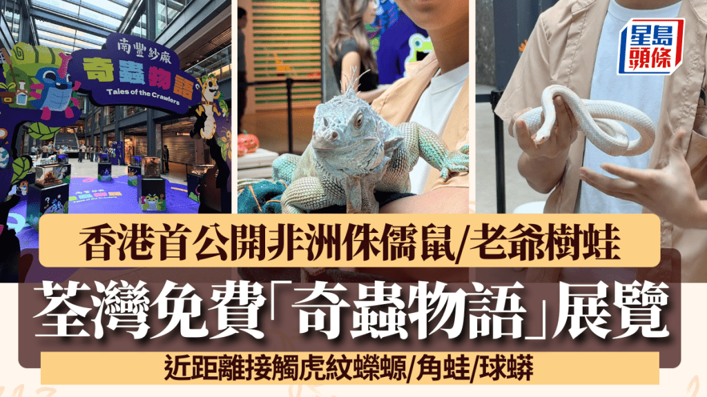 南豐紗廠「奇蟲物語」展覽免費入場！首公開非洲侏儒鼠/厭世老爺樹蛙 近距離接觸虎紋蠑螈/角蛙/球蟒