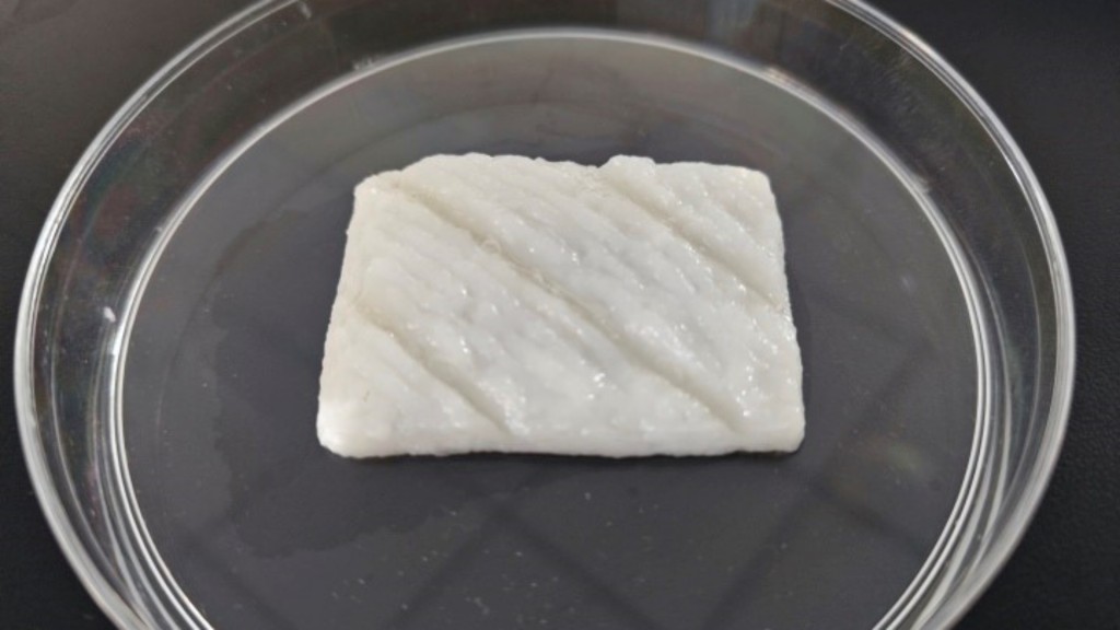 科研團隊成功培育首宗人工合成魚肉。網圖