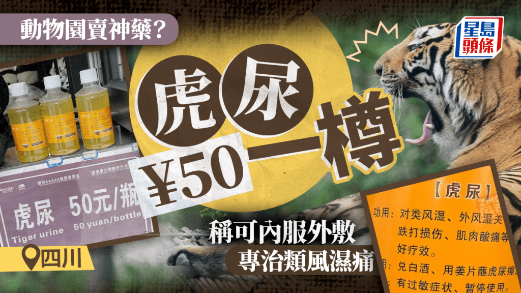 動物園賣虎尿︱¥50一樽可內服外敷？  「神藥」包裝：專治類風濕痛楚