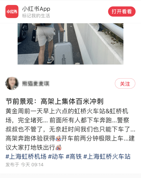 網友表示乘客集體在高架橋下車奔跑趕高鐵。