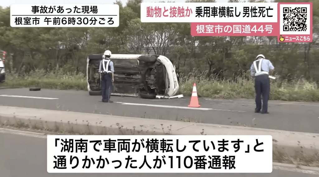 日本北海道“熊祸”未止，更疑导致罕见且致命的交通意外。