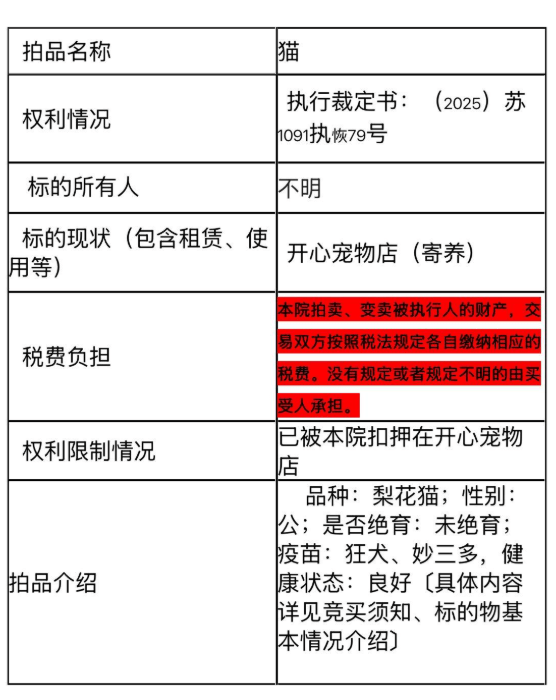 江蘇3歲貓被法院以¥500起拍價拍賣。阿里資產