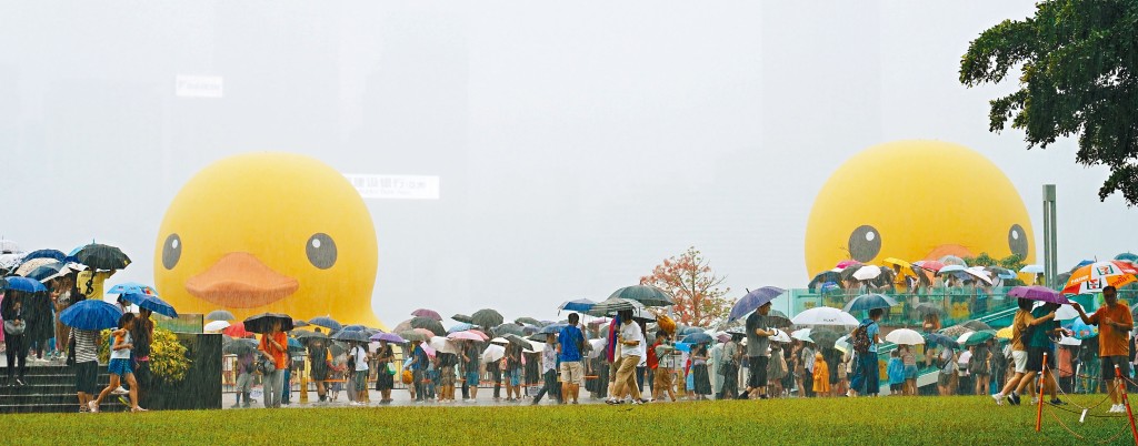 大雨連連，無礙市民「追鴨」打卡。