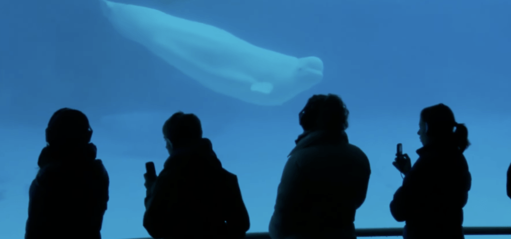 「海洋樂園」集遊樂場、水族館及動物園於一身，曾是尼亞加拉瀑布地區的旅遊熱點。CBS NEWS新聞畫面截圖