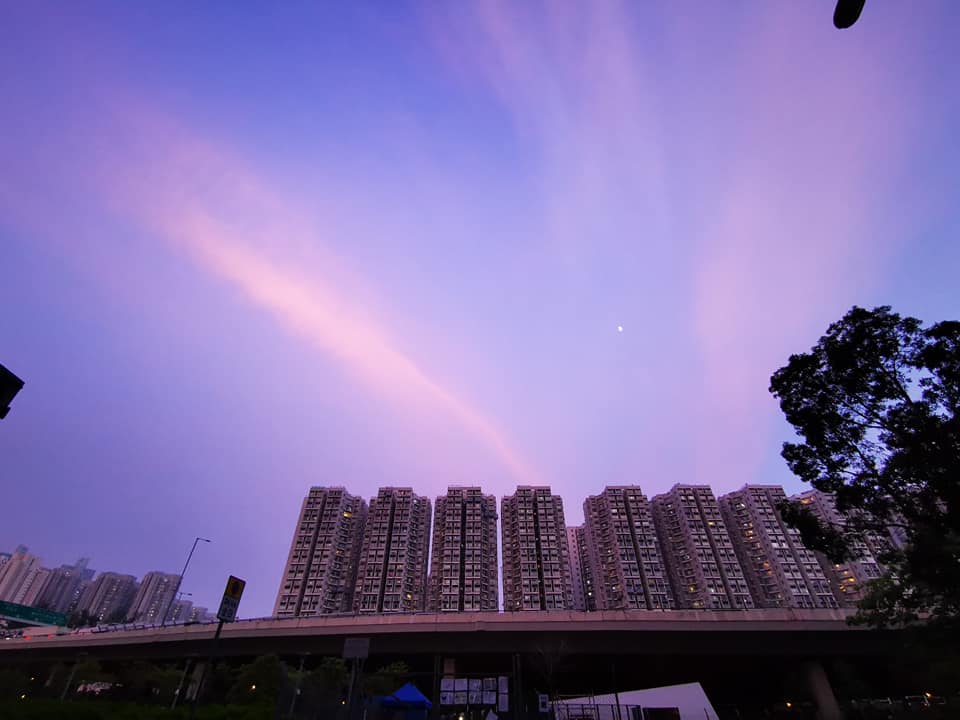 網民Joey Ma圖片