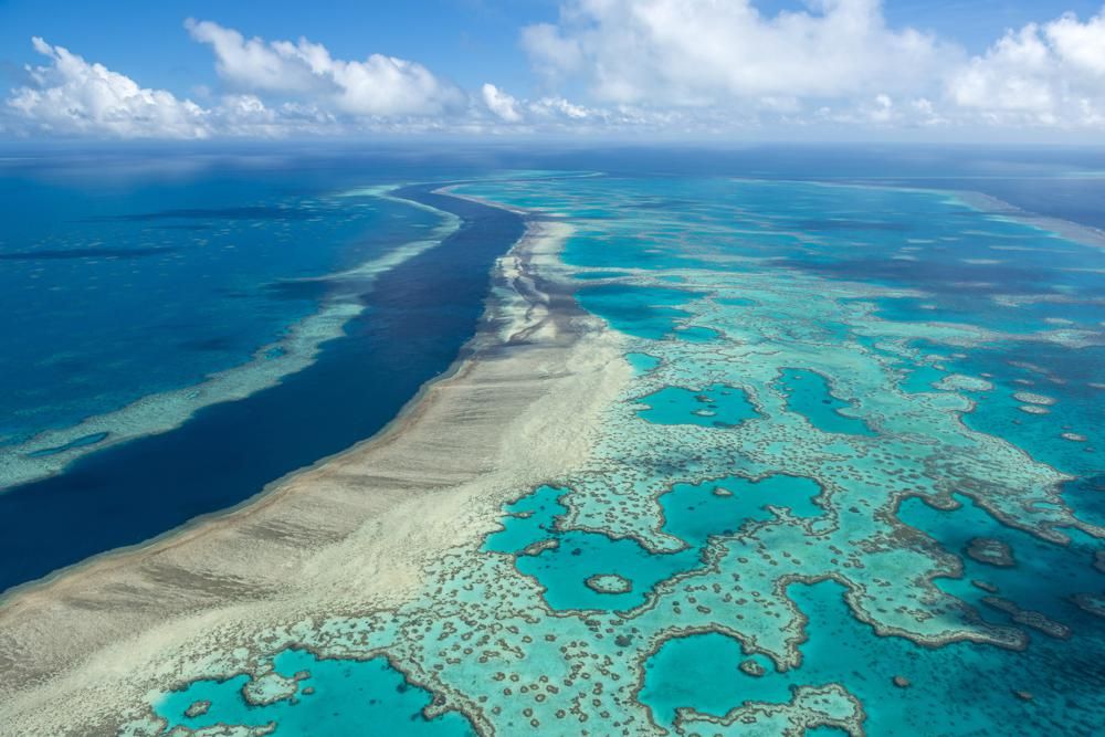 聯合國專家警告，澳洲大堡礁珊瑚礁生態系統受到氣候變化和海洋變暖的嚴重影響。AP
