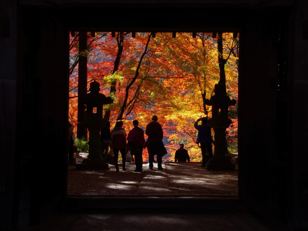 置身秋日的香积寺，随意都能拍得漂亮照片。