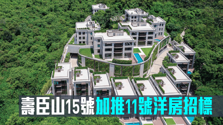 壽臣山15號加推11號洋房招標。