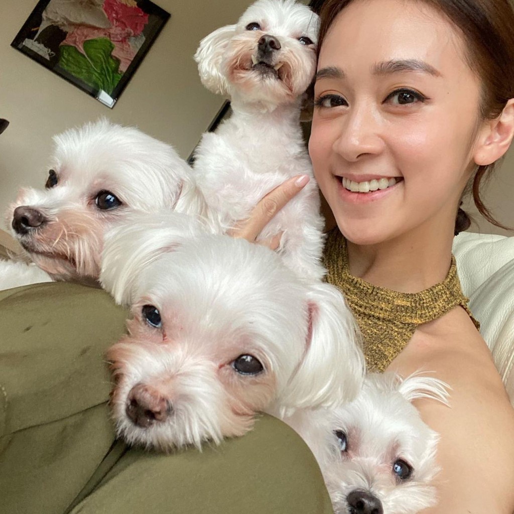 黄心美本来家有四只爱犬。