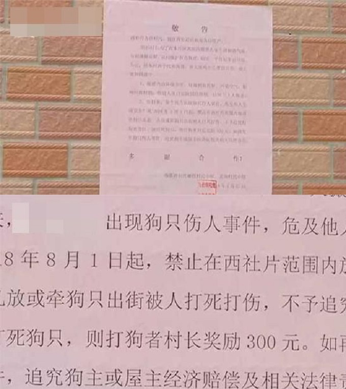 佛山順德雄固村發出通告,若有人打死了狗,可獲獎300元人民幣。網圖