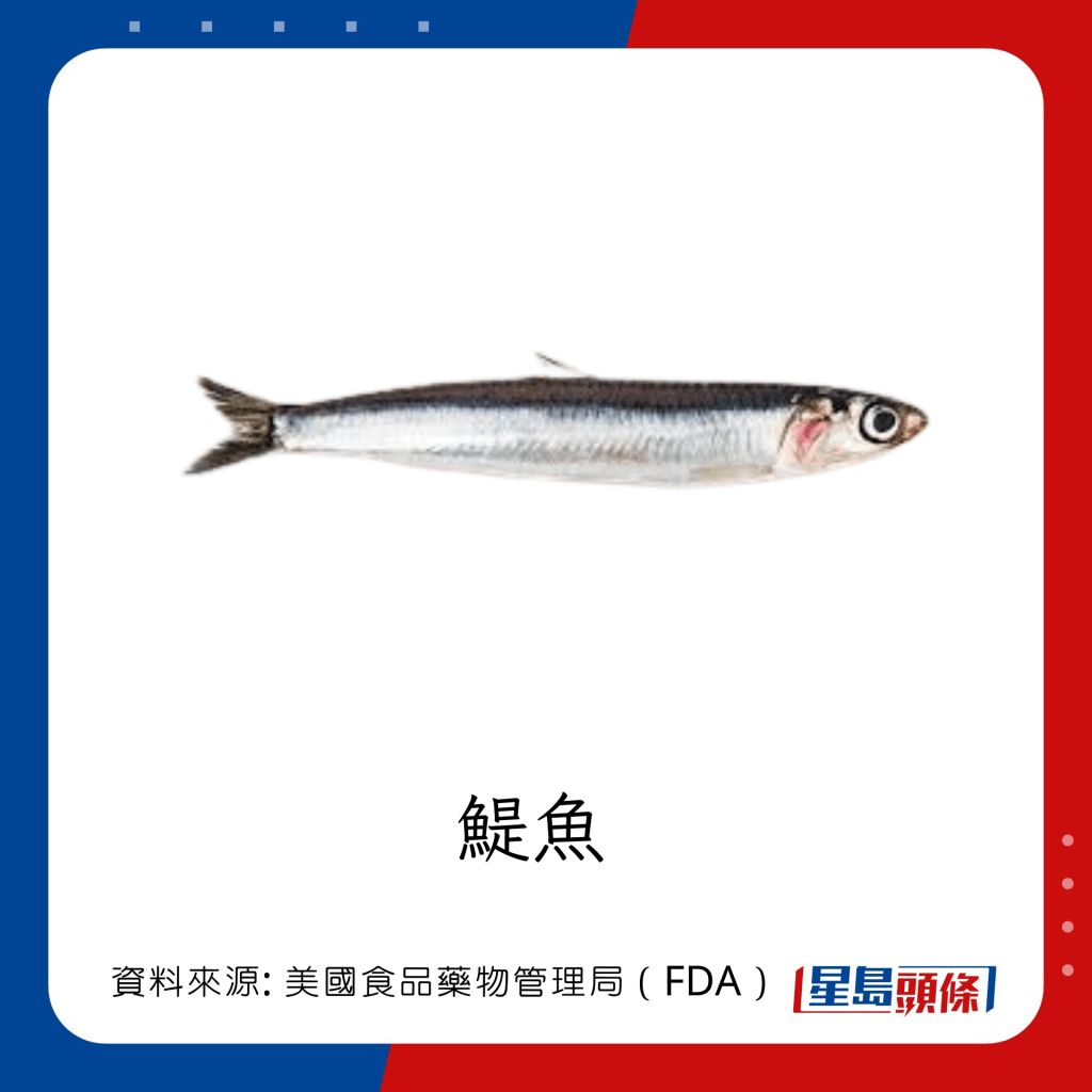 低水銀魚類  鯷魚