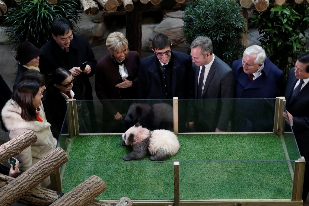 動物園舉行命名儀式，揭曉第一隻在法出生大熊貓的取名「圓夢」。 路透社