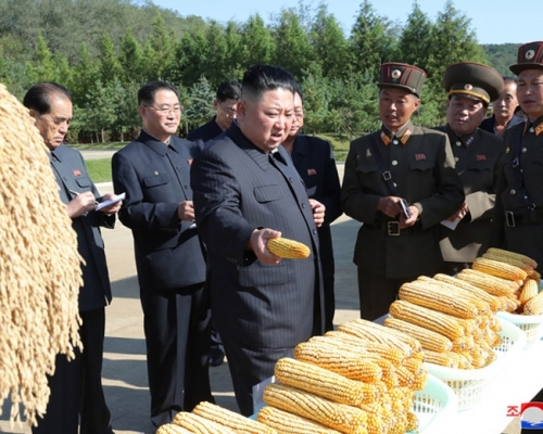 金正恩時隔27天再次公開露面,視察部隊農場, 稱解決吃飯問題要有決定性轉變。(網圖)